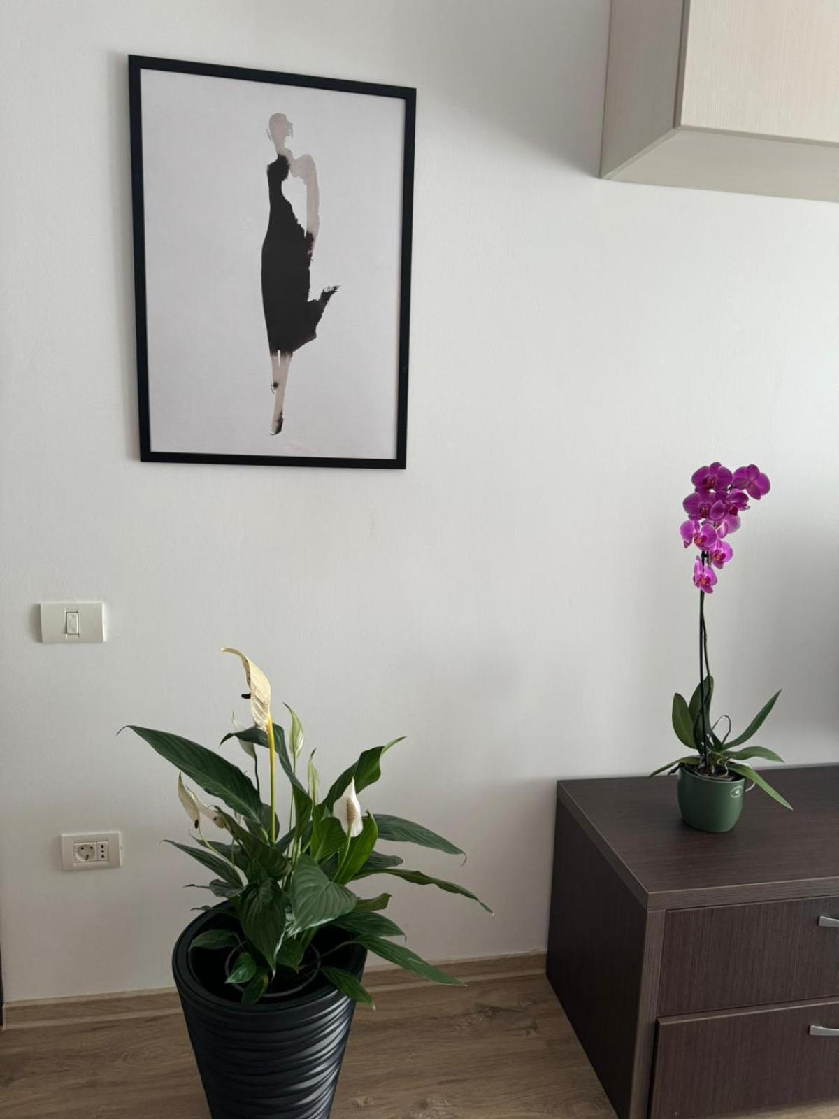 Apart Mihai Viteazu Residence Brașov Exterior foto